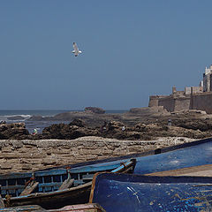 фото "Maroc #2"