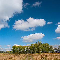 photo "on the road"