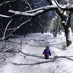 photo "Winter. Night. The lonely child."