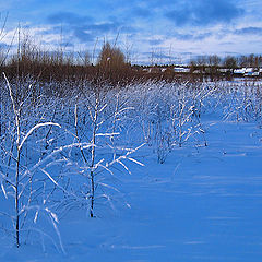 фото "Русская зима"