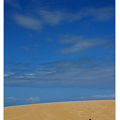 photo "dune"