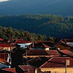 photo "Roofs"