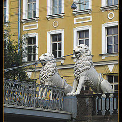 photo "Lions of Saint Petersburg"