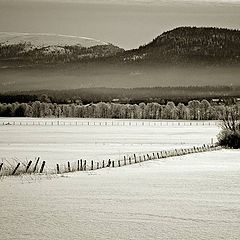 фото "Winter in Norway"