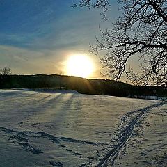 photo "Ski track"