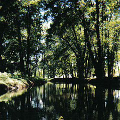 photo "Still Waters"