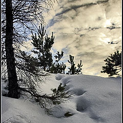 photo "uphill"