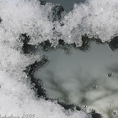 фото "Window on Winter"