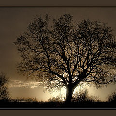 photo "silhouettes *1: the symphony in sepia"