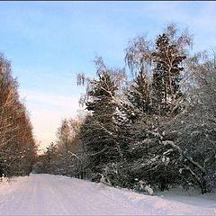 photo "Winter road"