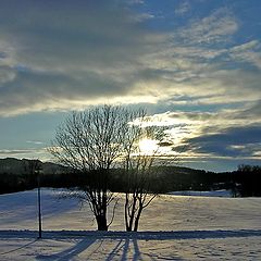 photo "Last winter"