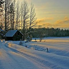 photo "Winter day"