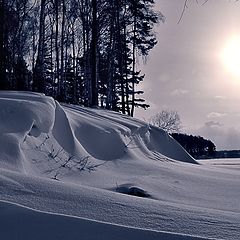 фото "Cнежная картика"