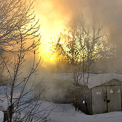 photo "backyard steam sunrise"