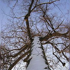 фото "Дорога в небо."