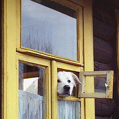 фото "На посту!"