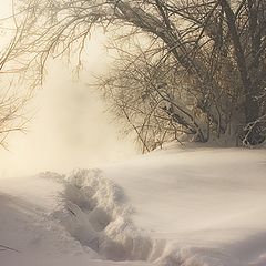 photo "Walks in a fog"