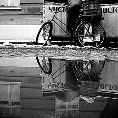 фото "reflektion"