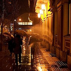 photo "Rainy St. Petersburg"