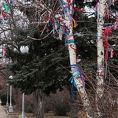 фото "Tree of happiness"