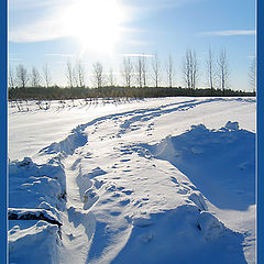 photo "A Winter Fairytale"