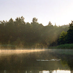 photo "Summer morning"