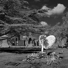 photo "New Orleans Cemetery,Valentines Day"