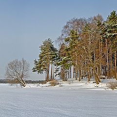 фото "Светлая зимняя панорама"