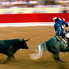 фото "Portuguese bullfight"