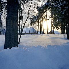 photo "The one day of a winter"