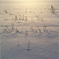 photo "A Way to Sunset"