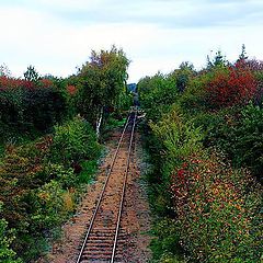 photo "Railroad"