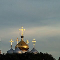 photo "Domes of the Novodevichy monastery"