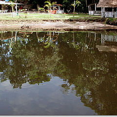 photo "River Reflections"