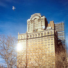 photo "Winter in Battery Park."