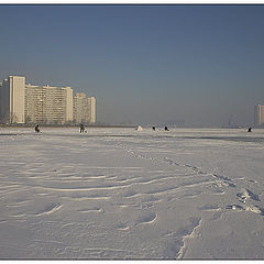 фотоальбом "без названия"