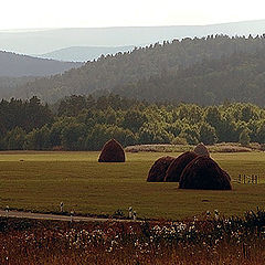 photo "About our Ural nature. (the End of summer(years))"