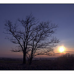 photo "silhouettes #3: the symphony in blue"