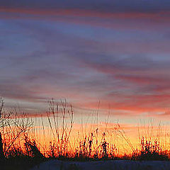 photo "Fence at Sunset"