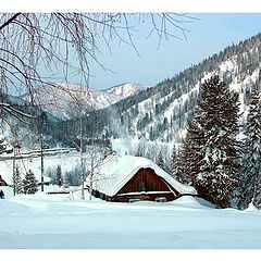 photo "Taiga settlement."