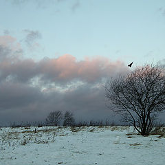 photo "Ancient field"