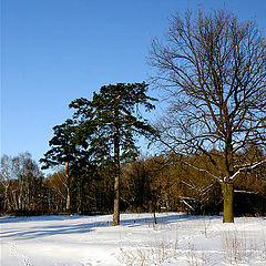 photo "2005. Winter etude-2"