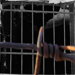 photo "Prisoned"