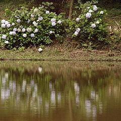 фото "A Lake"