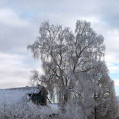 фото "Запорошенное село..."