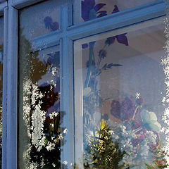 photo "Flowers in a window"