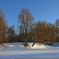 photo "2005. Winter etude-3"