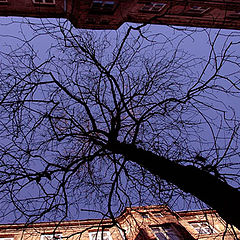 photo "in Warsaw"