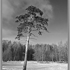 фото "Winter: the point of no return"