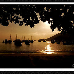 фото "Ilha Dourada (Golden Island)"